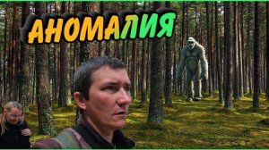 Какое-то место, какого-то происшествия. #сезонконтентаRUTUBE