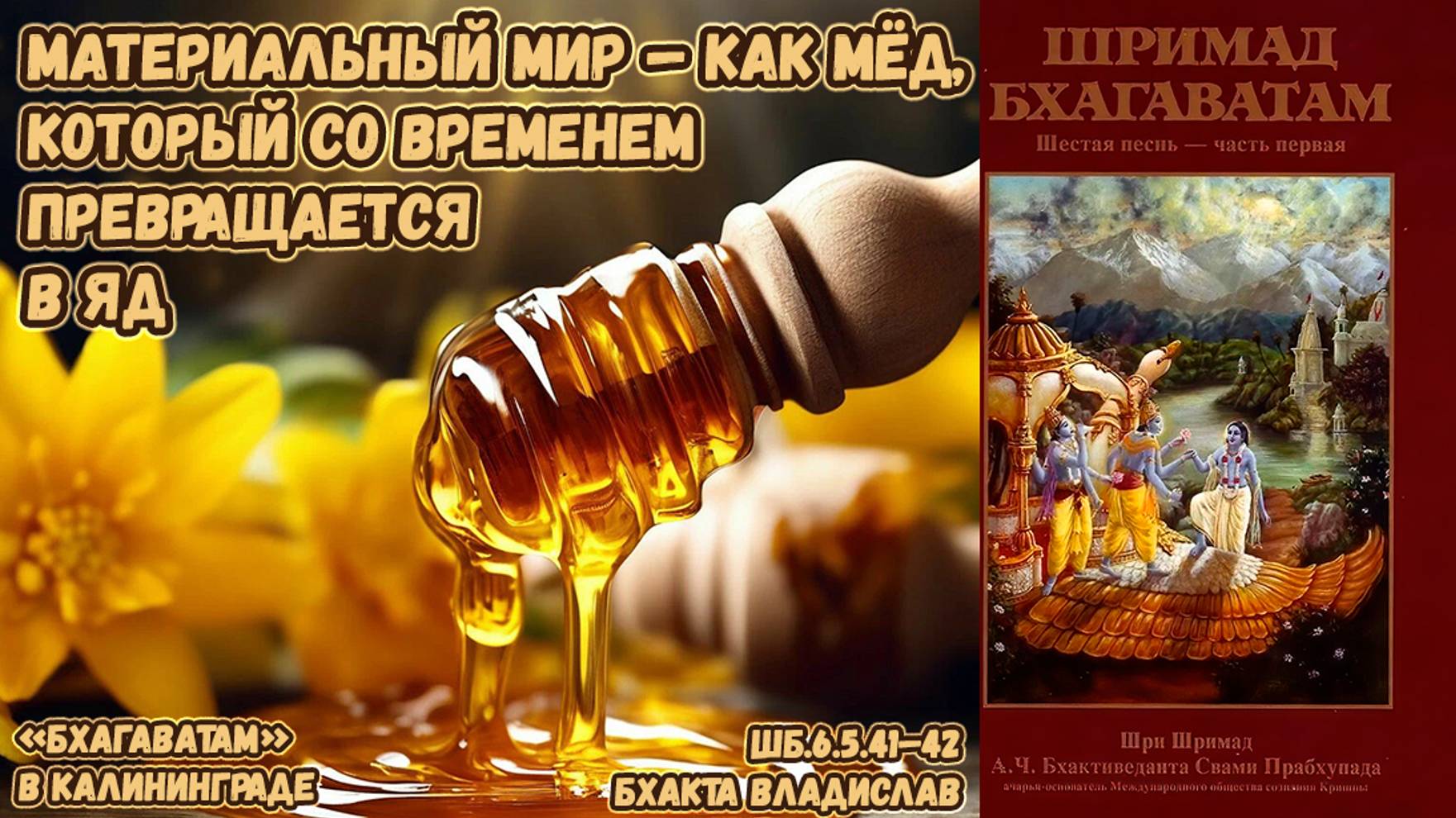 Материальный мир как мед, который со временем превращается в яд. Бхакта Владислав. ШБ.6.5.41–42