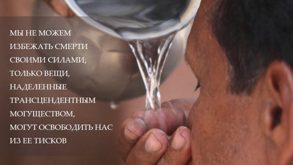 Вдохновение на Картику 2024 (день 22) от Е.С.Шачинандана Свами