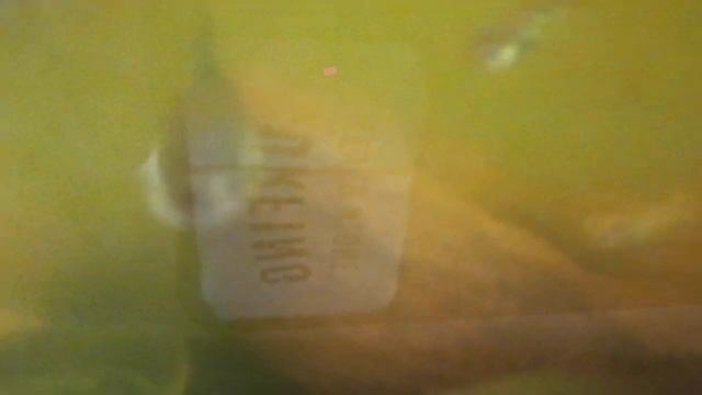 Обзор на рыб в моем аквариуме. смотреть онлайн