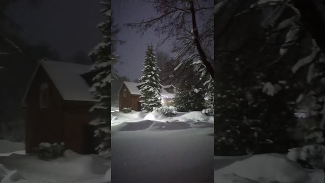 зима на конюшне.... ноябрь _2024-11-06_01-35-14 смотреть онлайн