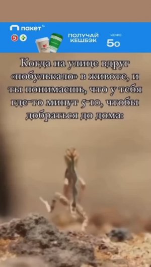 Когда на улице вдруг забулькало...