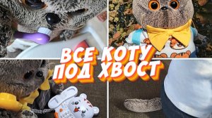 ВСЕ КОТУ ПОД ХВОСТ #котбасик #басик #видеоигрушки
