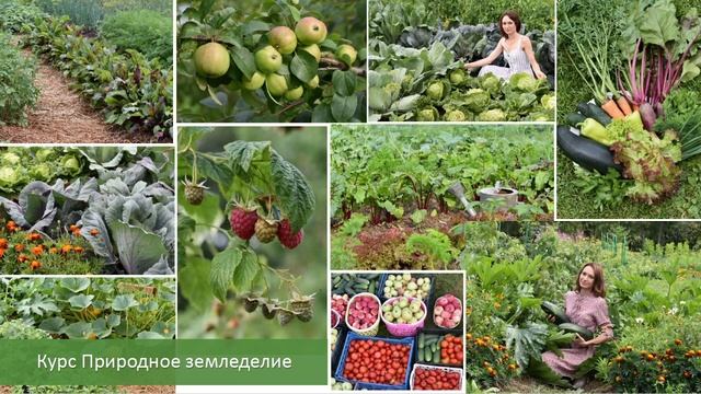 День открытых дверей смотреть онлайн