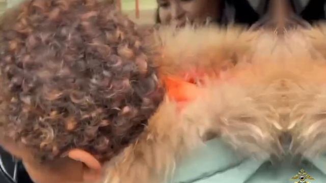 Госавтоинспекторы активно проводят профилактические мероприятия с участниками дорожного движения смотреть онлайн