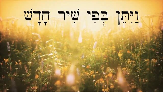 Псалом 39:4  (תְּהִלִּים 40:4) - Biblical Hebrew Worship (русские субтитры)