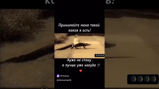 vkclips_20241104070119 смотреть онлайн