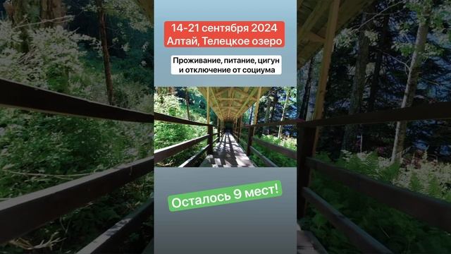 #цигун #цигундляначинающих #цигунонлайн #цигундома #цигунтур #цигуналтай смотреть онлайн