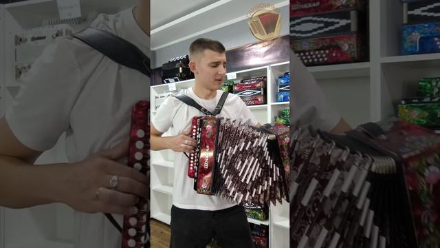 Парень спел от души под гармонь! #гармонь #гармошка #шуйскаягармонь #купитьгармонь смотреть онлайн