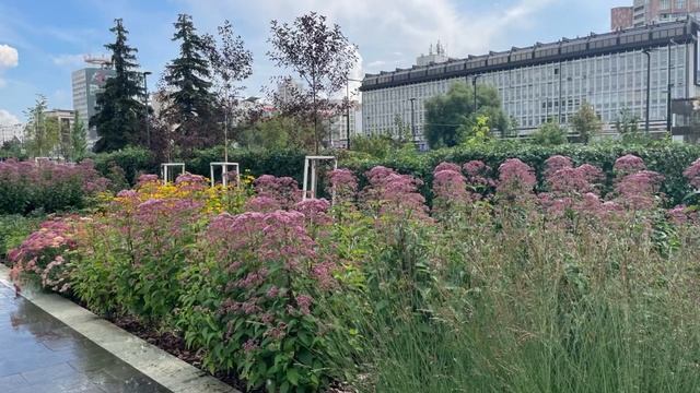 Цветочный квест. 5 станция - Летний сад смотреть онлайн
