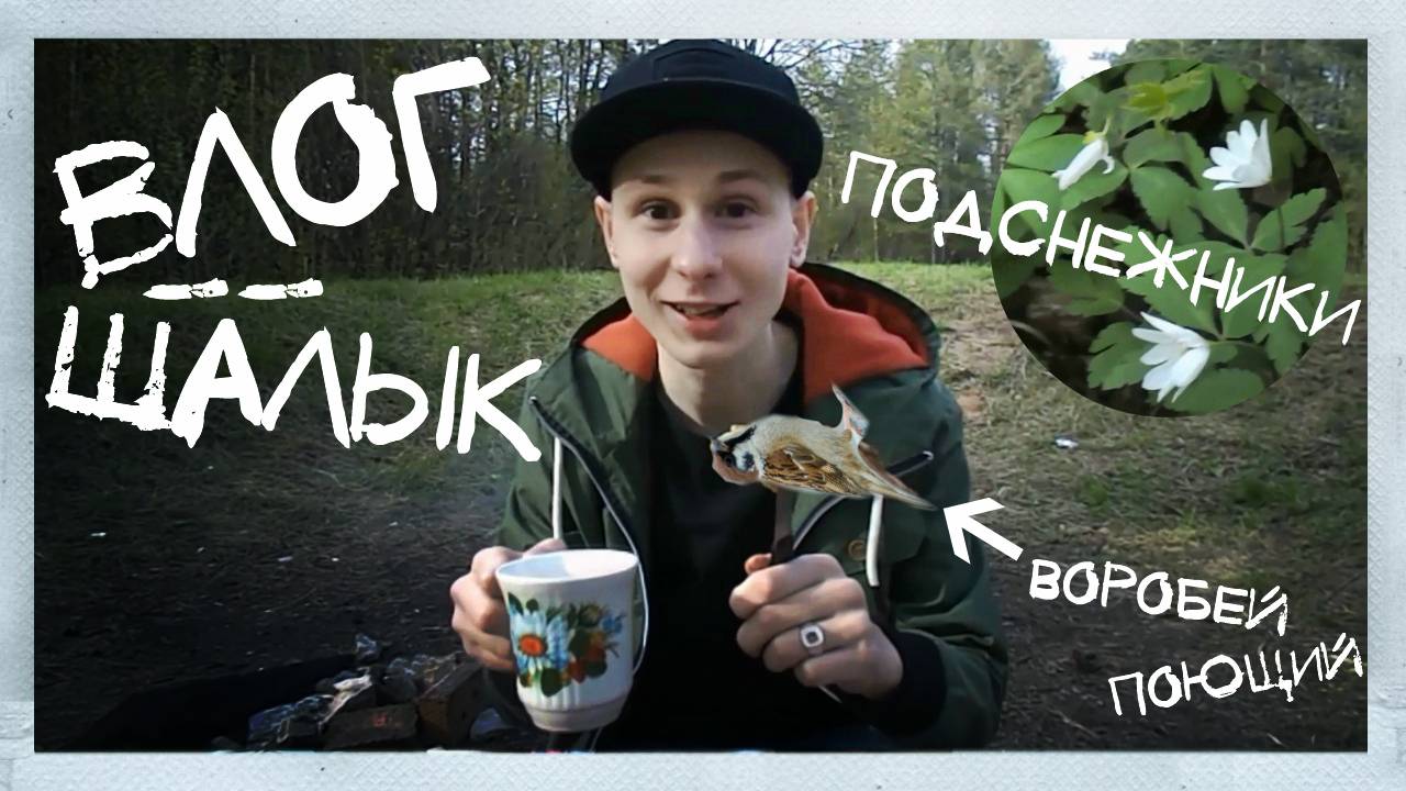 ВЛОГ: Волшебный подснежник. Делаем шашлык. VLOG: Magic snowdrop. Making barbecue. смотреть онлайн