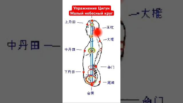 #цигун #цигундляначинающих #цигунонлайн #цигундома #цигунтур #цигунсочи #цигунмосква #андрейбегишев смотреть онлайн