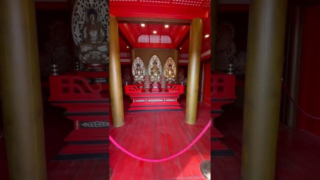 #music #цигун #цигунонлайн #цигундляначинающих #цигундома #цигунтур смотреть онлайн