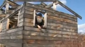 ,,Я вас не звал'' МЕМ.