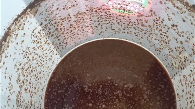 Гречишный портер