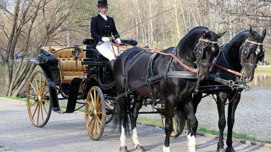 Старый фаэтон смотреть онлайн