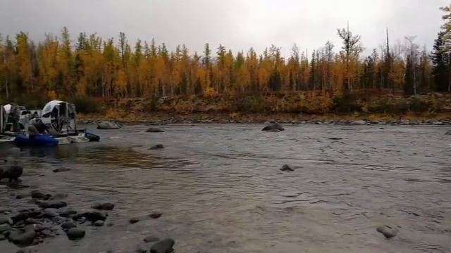 Fishing For Taimen (Hucho) Angeln Auf Taimen (Huchen) In Siberia (4)