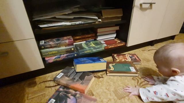 перечитала в 7 мес всего Гарри поттера, скидываем книги с полки смотреть онлайн