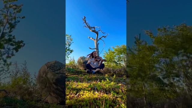 Закройте глаза и соединитесь с местом силы #violin #скрипка #скрипачка #импровизация #naturesounds