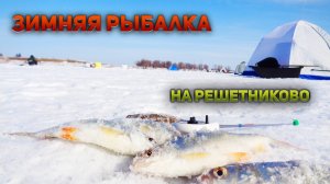 РЕШЕТНИКОВО. Рыбалка в Омской области. Закрытие зимнего сезона Март 2019г