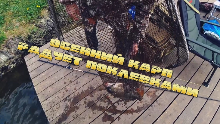 Осенний карпфишинг.Курск.БазаСтадион. смотреть онлайн