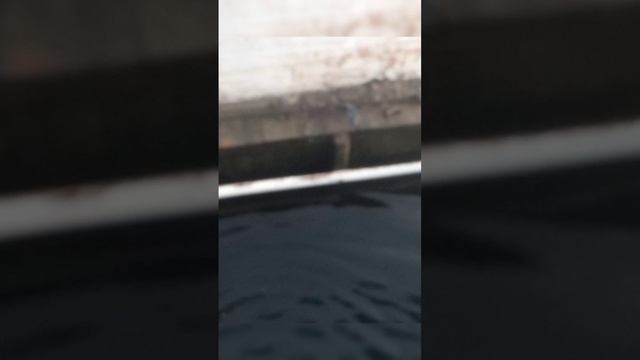 Даги. Источники. Сахалин смотреть онлайн