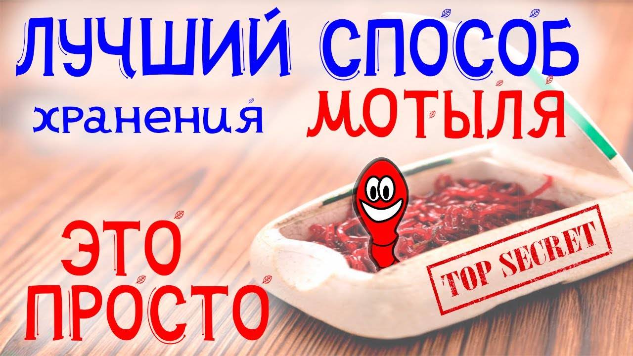 Лучший способ хранения мотыля. Как долго хранить мотыля. смотреть онлайн