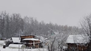 Дачная жизнь. Выпал снег. Зима на носу.