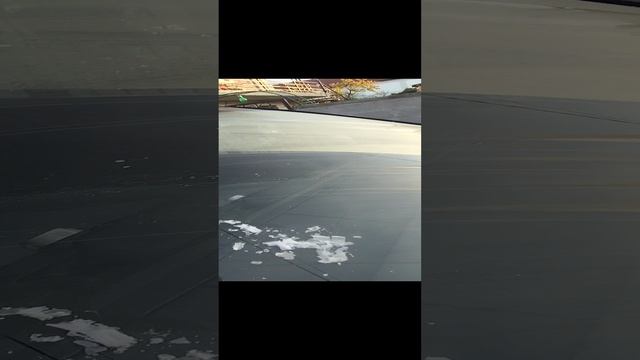 как очистить замёрзшее стекло)