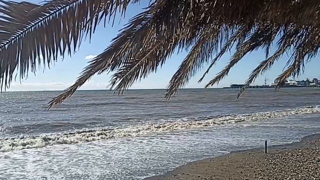 30. Снова на зиму в Абхазию. День 30, часть 1, 5. 11.2024. Море, дельфин и столовая смотреть онлайн