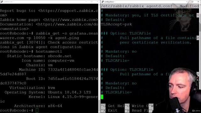 047 Using the 'Zabbix Get' Command смотреть онлайн