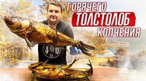Толстолоб горячего копчения. Как правильно засолить рыбу?!