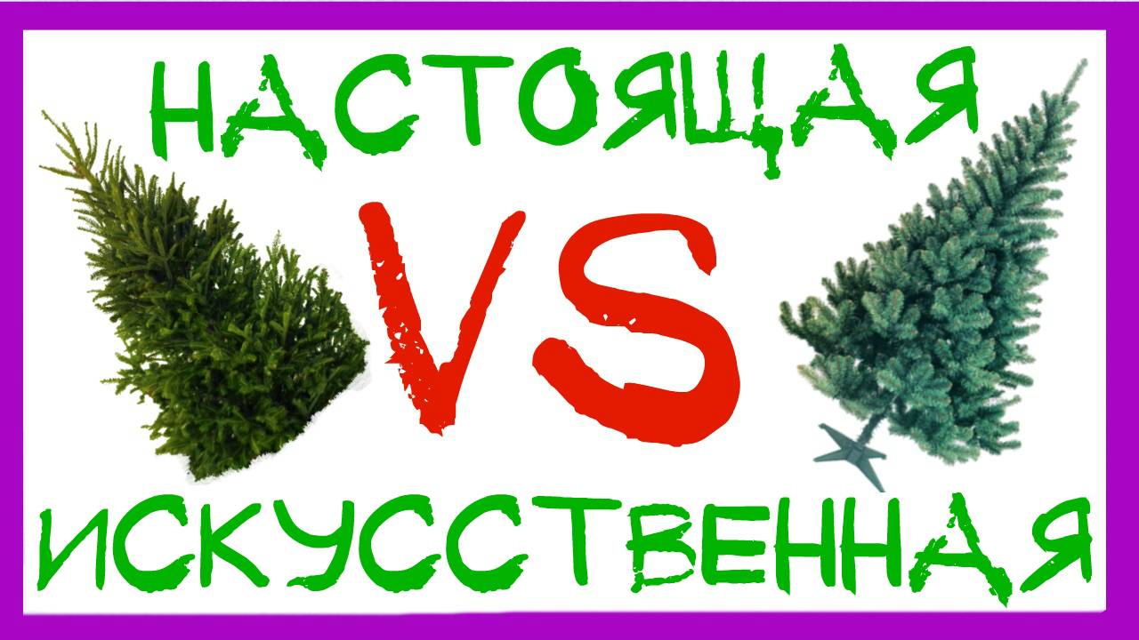 КАКУЮ ЕЛКУ КУПИТЬ НА НОВЫЙ ГОД? ИСКУССТВЕННАЯ ИЛИ НАСТОЯЩАЯ НОВОГОДНЯЯ ЕЛКА. смотреть онлайн