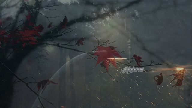 Любава - Рябина  — Та, что гнётся под окном, и в осеннюю погоду #сезонконтентаRUTUBE