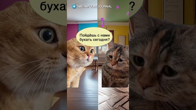 Спам звонок #мыкотики #вмем #разговор #анекдот #шутки #кот #юмор #смешное #прикольно #мемы #cat смотреть онлайн