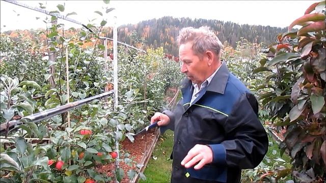 В питомнике у Сергея Ивановича смотреть онлайн