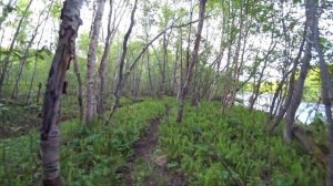 Печенга (4k) Рыбалка на сёмгу.