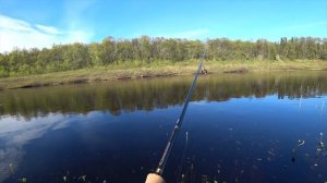 Кумжа. Рыбалка на Кольском полуострове.