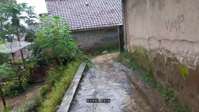 Heavy Rain In My Village | Very Refreshing | The First Rain After A Long Dry Season