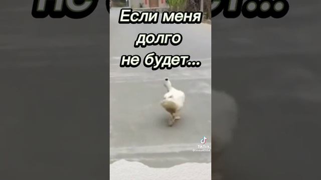 video-d0ab997d4585c7760c6e57ed42d80a11-V смотреть онлайн
