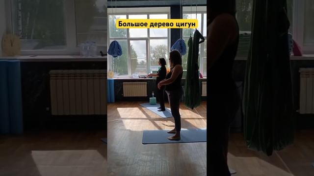 #цигун #цигундляначинающих #цигунонлайн #цигундома #цигунтур #большоедерево смотреть онлайн
