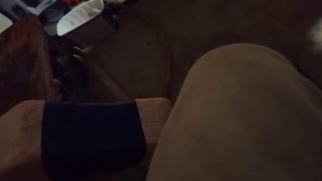 УШЛИ ОТ ВОЛКОВ. ОБЗОР НА БАЗУ ЕЛИСТАРА. ВСТРЕТИЛ ДИКУЮ СОБАКУ НОЧЬЮ! /2 часть/ смотреть онлайн