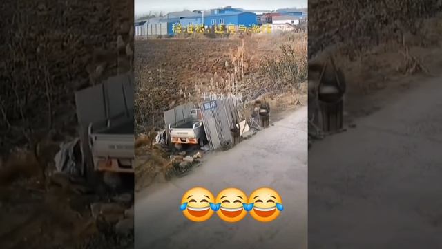 1000033036.mp4 смотреть онлайн