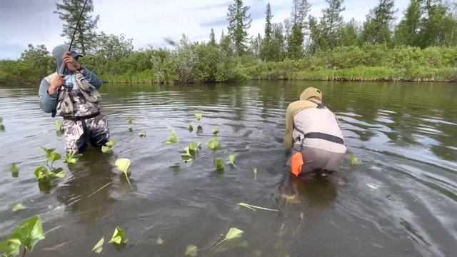 River Delingde TAIMEN / Река Дэлингдэ