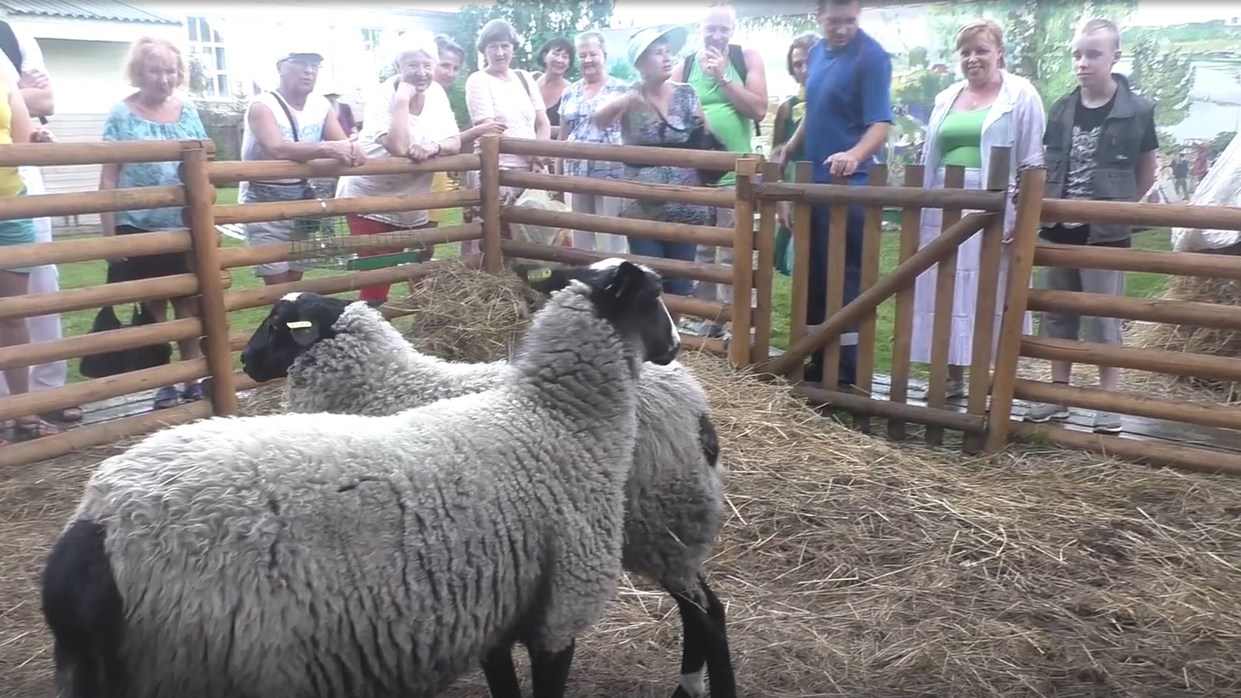 12. Экскурсия в город Тутаев