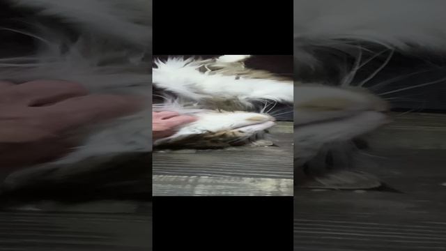 Сын.mp4 смотреть онлайн