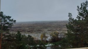 Я вас люблю, мои дожди (кавер исполняют А.Щербаков и Т.Шишикина) Автор В.Егоров