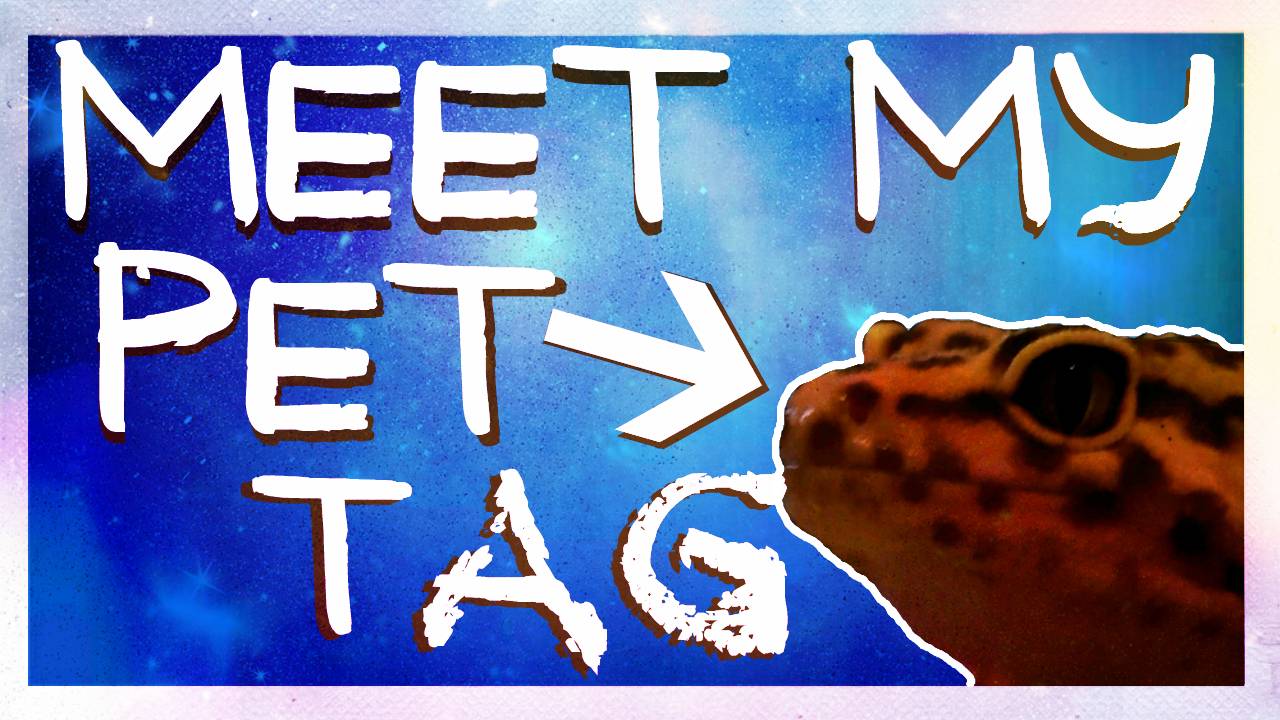 MEET MY PET TAG. Мой домашний динозавр. Эублефар. смотреть онлайн