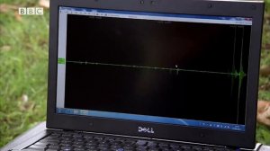 Video 6 - Urban legends (Lesson 2.1)