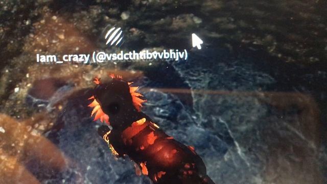 Обновление WCUE